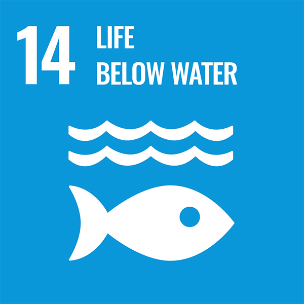 Icon for the UN Sustainable Development Goal 14: Life Below Water